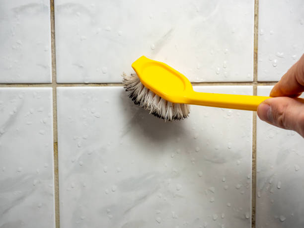 Best Mold Removal Process  in Fairfield, TX