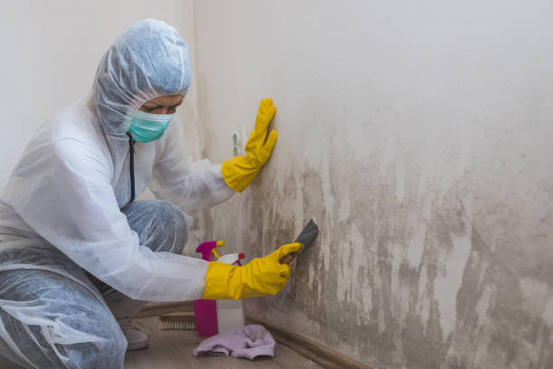 Best Residential Mold Removal  in Fairfield, TX