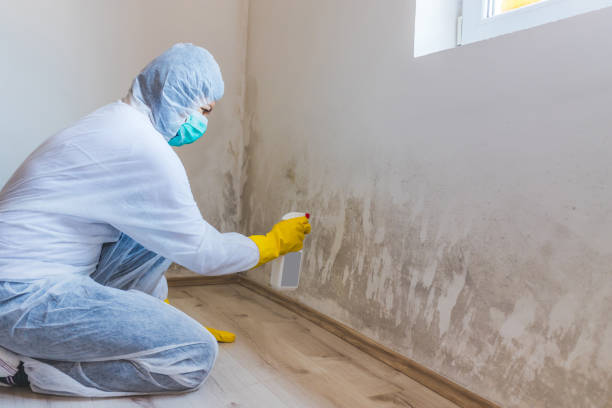 Best Residential Mold Removal  in Fairfield, TX