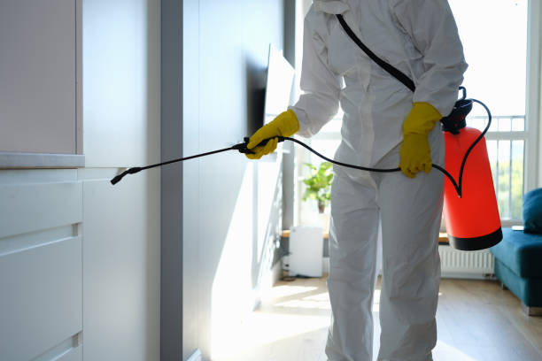 Best Office Mold Removal Services  in Fairfield, TX