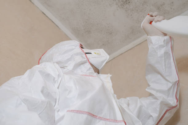 Best Fast Mold Removal  in Fairfield, TX