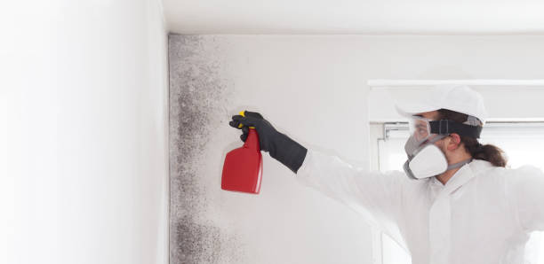 Best Mold Remediation  in Fairfield, TX