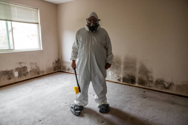Certified Mold Removal in Fairfield, TX