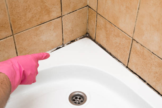 Best Emergency Mold Removal  in Fairfield, TX